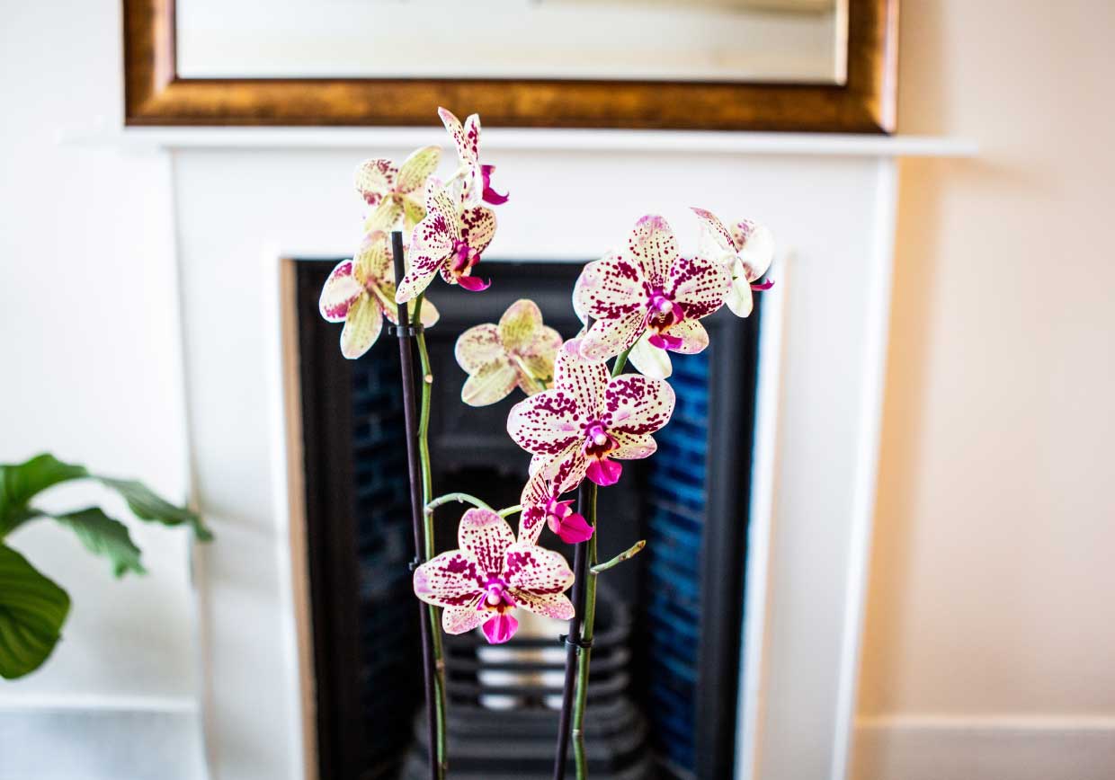 Flowers in front of a fireplace